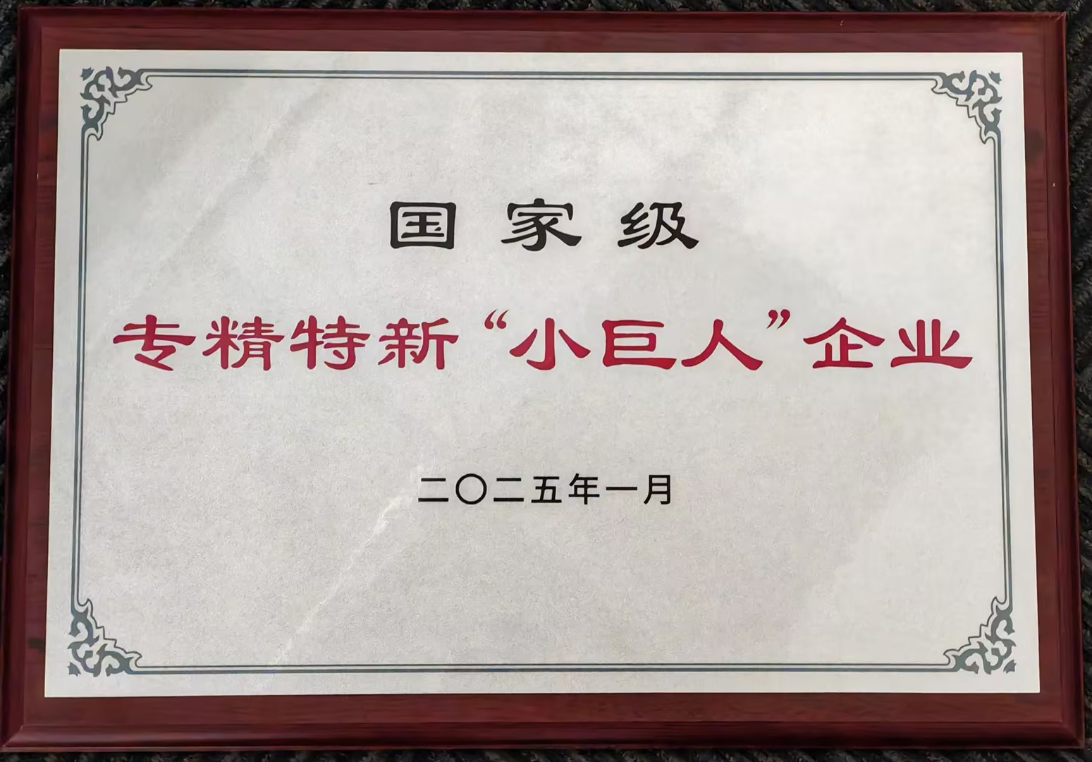 国家级专精特新“小巨人”企业(1)