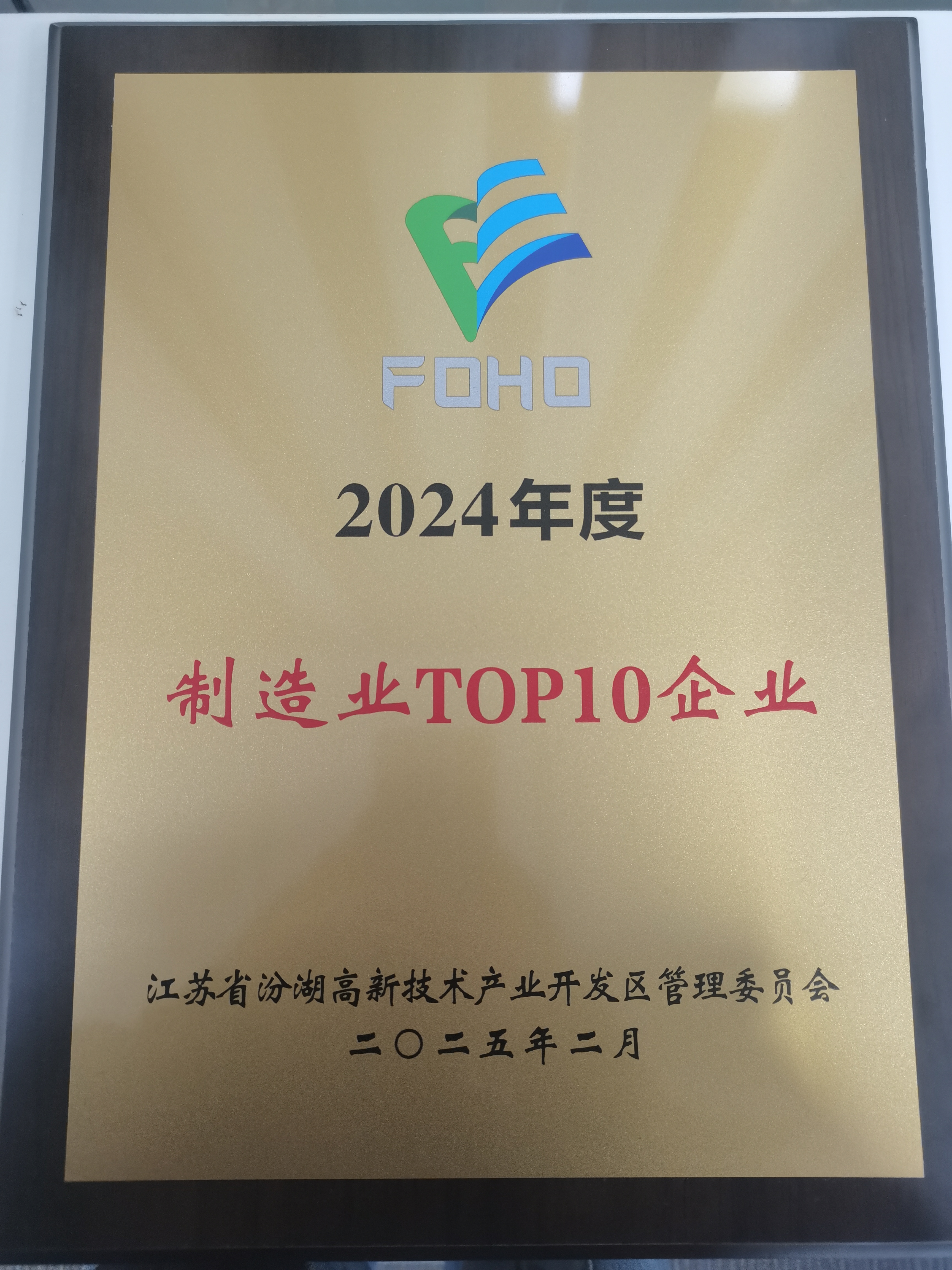 2024年度制造业TOP10企业(1)